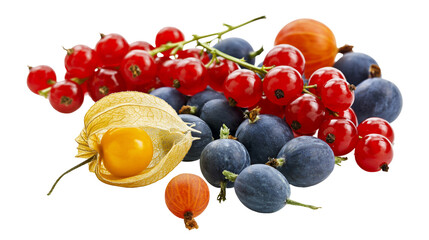 Isolated fresh ripe red currants, various gooseberries, and physalis fruits for healthy eating © Vincent
