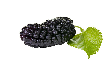 Isolated fresh black mulberry fruit with vibrant green leaf, sweet summer berry for desserts © Vincent