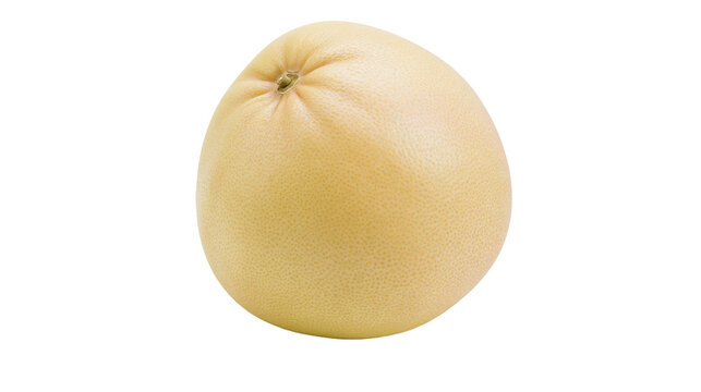 Isolated fresh, ripe pomelo fruit, a large and healthy Asian citrus fruit with light skin