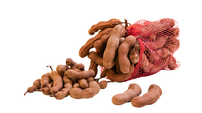 Isolated fresh tamarind pods spilling from red mesh bag, sweet and sour tropical fruit