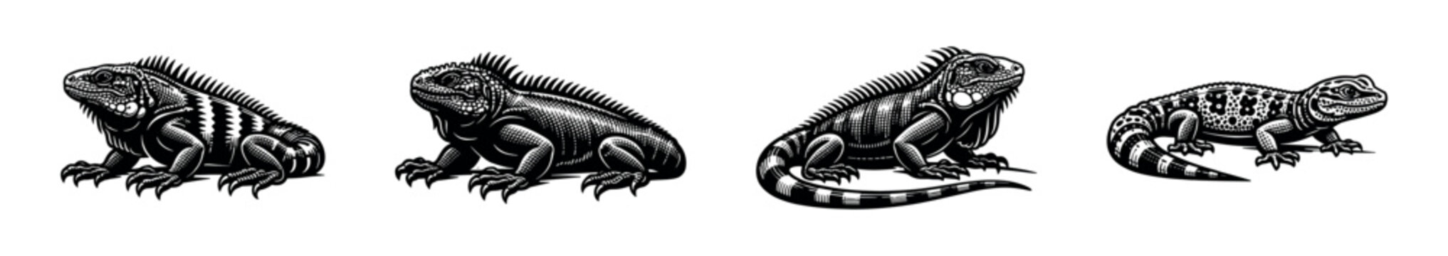 Engraved Style Iguana Lizard Set