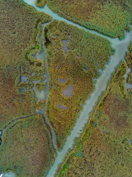 Aerial view of the dense reed beds and winding channels of Lake Neusiedl, showcasing the natural wetland landscape in Rust, Burgenland, Austria.
