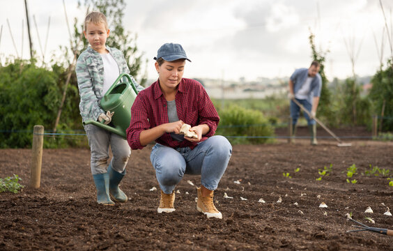 Young woman planting seeds in beds with boy watering beds in harvest field