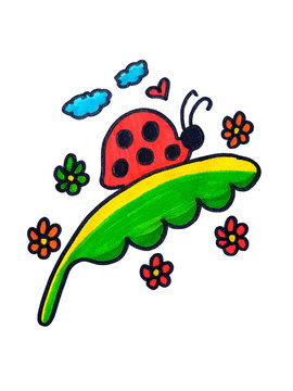 ladybug on a leaf
