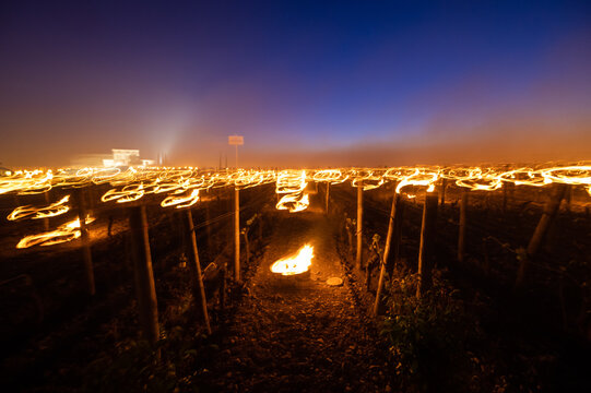 FRANCE, GIRONDE 33, POMEROL, BURNING CANDLES IN THE BORDEAUX VINEYARD DURING A PERIOD OF FREEZING WITH TEMPERATURES BELOW ZERO ON APRIL 7