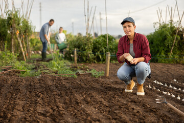 Obraz premium Woman farmer planting seeds in the garden on the farm on background of family. Planting seeds and fertilizing the land. Farmer grows organic natural food