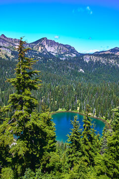 Alpine Pond Evergreen Forest and Mountain Peaks in Washington Landscape