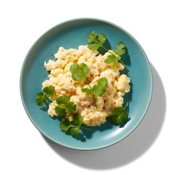 Creamy scrambled eggs topped with fresh cilantro served on a blue ceramic plate egg dish fluffy eggs food illustration