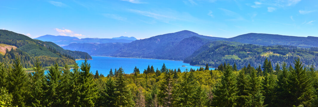 Panorama Lush Forest and Blue Lake with Mountain Ridges Under Clear Summer Sky