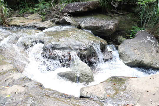 Fresh clean stream water flowing over mossy rocks in a lush green forest cascade