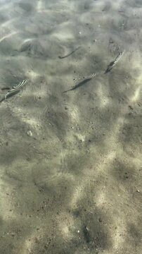 Tranquil shimmering water surface with sand beneath and gentle ripples Egypt. Hurghada