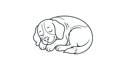 Obraz premium Cute beagle puppy sleeping in a curled position as a simple line art drawing