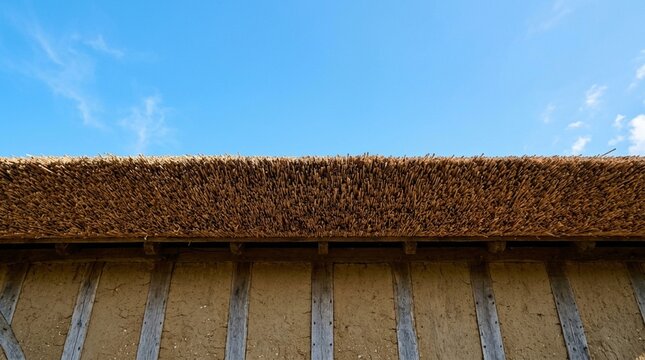 Thatched roof against blue sky in rural setting with natural light