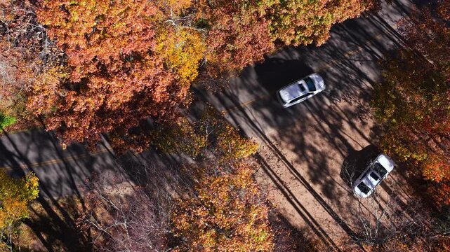 Cars driving on parkway road in autumn season. Scenic route between majestic mountain hills covered in golden and scarlet leaves.