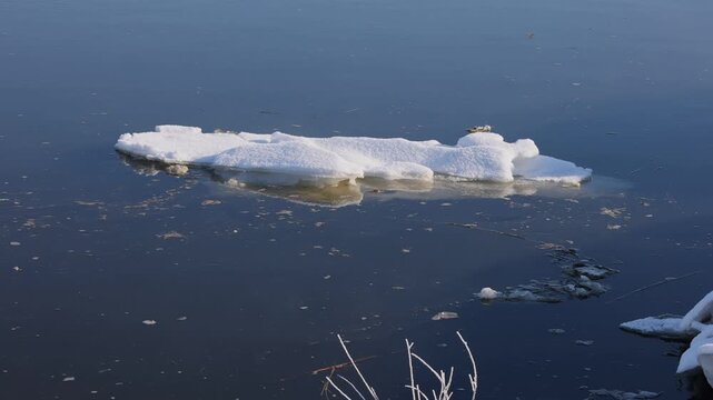 Ice floe floating in water, wintery Elbe near Bleckede, Lower Saxony, Germany