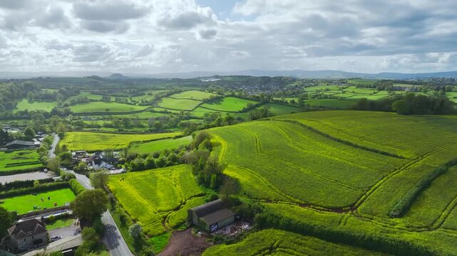 Farmlands and Rapeseed fields from a drone, Devon, England, United Kingdom