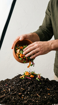 Person adding organic vegetable food scraps to a compost pile for soil enrichment.