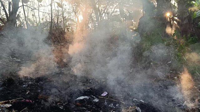 Smoke rises from burning organic waste in a rural area during the early morning, accompanied by natural ambient sounds of burning material and birdsong, including a dove-like kukuk/perkutut call