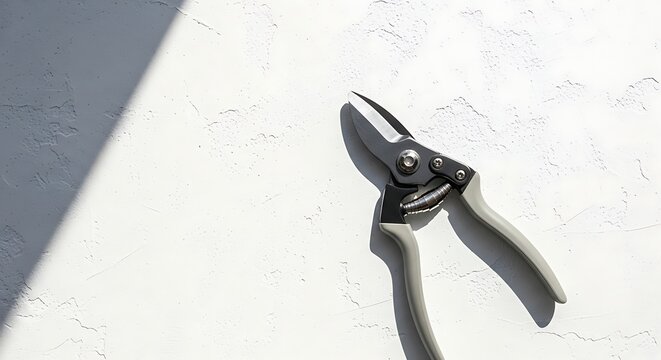 Nail clippers on white background.