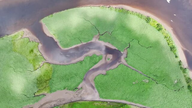 Top Down over Sharpham Meadows and Marsh over River Dart from a drone, Totnes, Devon, England, United Kingdom