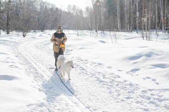 Young woman walking with fluffy samoyed dog in snowy winter park. 