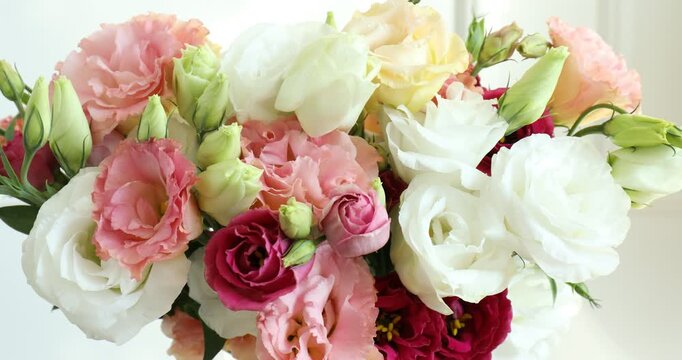 bouquet of beautiful eustoma flowers indoors, closeup. Camera moving right