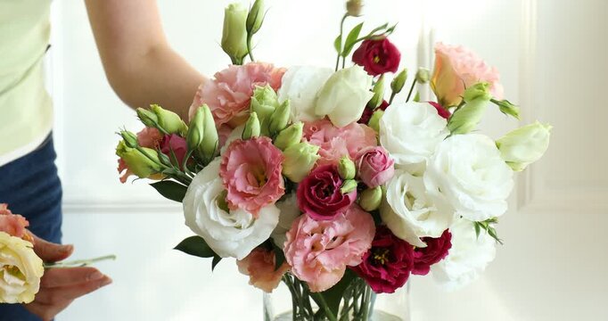 Woman putting eustoma flowers into vase indoors, closeup