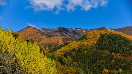 大鹿村・秋の空 © KT355
