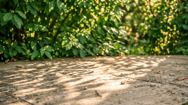 Outdoor stone pavement background with dappled sunlight shadows and blurred green foliage