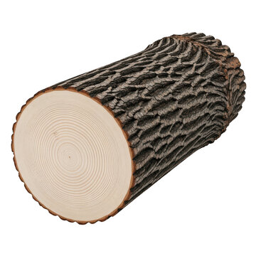 A single piece of brown wooden log showing tree rings and rough textured bark isolated on transparent background