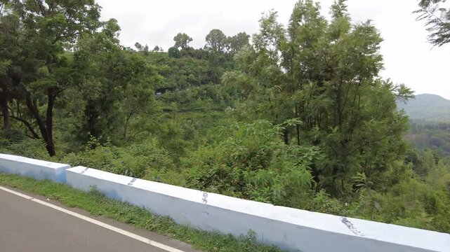 Empty asphalt ghat road with a plain whitewashed parapet curving past forested ridges and tea slopes in the South Indian hills, shot from a moving vehicle