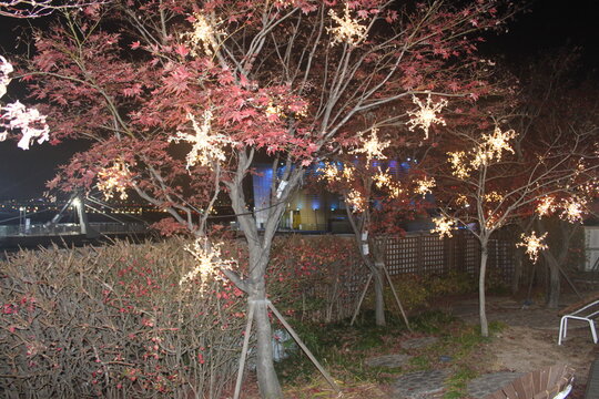 Autumn tree with red leaves decorated with glowing snowflake string lights at night in a riverside park