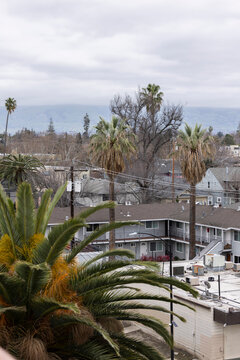 Daytime aerial view of the dense South University neighborhood of San Jose, California, USA.
