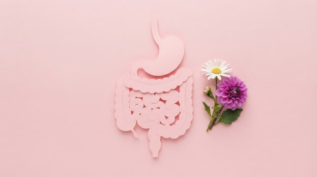 Illustrated digestive system with flowers in soft pastel background with Cut out digestive organ sits beside delicate flowers light pink surface