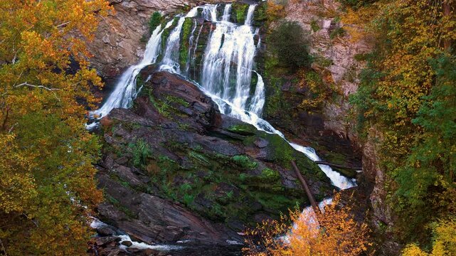 Powerful cascade waterfall flows through rocky gorge surrounded by lush forest and vibrant autumn trees. Mountain river creates tranquil natural scenery.