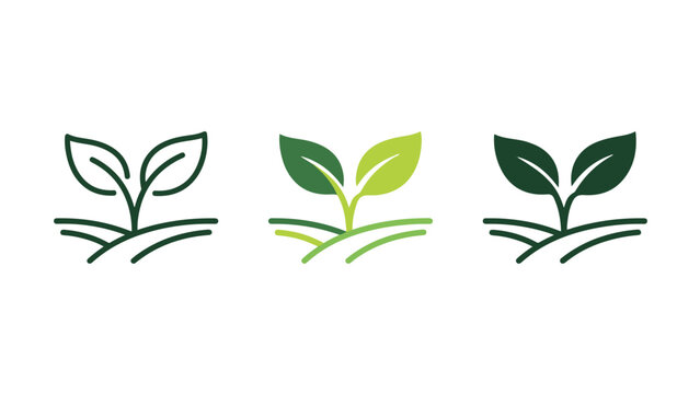 Set of three sprout plant icons in linear flat bold styles representing growth and sustainability seedling agriculture
