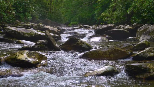 Rushing small water stream flowing over boulders in forest creek, surrounded by dense vegetation, mossy rocks and vibrant summer woodland environment.