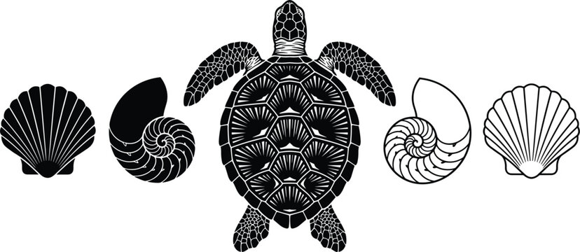 Sea turtle silhouette vector set featuring detailed marine shells and nautilus elements isolated on solid white background