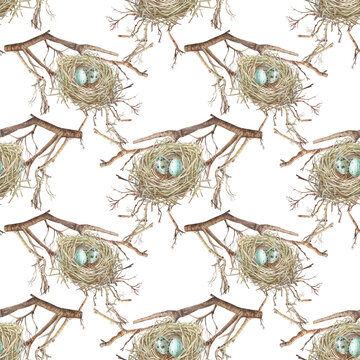 Watercolor Easter seamless pattern with nest and blue egg on the branches of a tree on white background. Bird house made of twigs. Spring celebration card. Mother's day. Wallpaper or wrapping