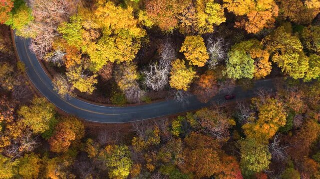 Scenic car drive at autumn landscape in mountains. Fall colors stretch across hillsides along quiet hillside road.