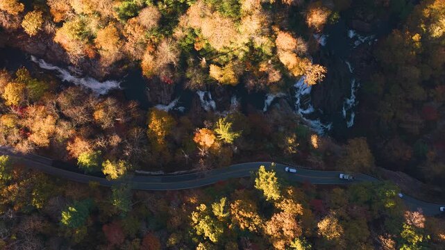 Scenic highway curves through colorful woodland beside rushing waterfall and rugged mountains. Quiet surroundings offer breathtaking views during autumn journey.