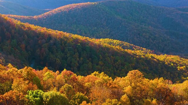 Scenic sunset over Appalachian mountains in North Carolina. Dense woodland in peak fall season. Vibrant autumn foliage blankets the hills with brilliant shades of yellow, orange and red.