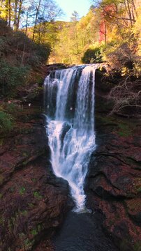 Scenic waterfall with clear water cascading over rocky ledge surrounded by golden autumn forest.