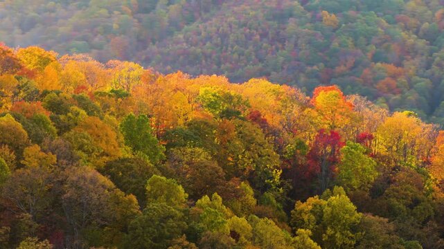 Spectacular fall landscape featuring vibrant mountain forest canopies glowing beneath colorful sunset. Brilliant autumn colors transform the surrounding countryside.