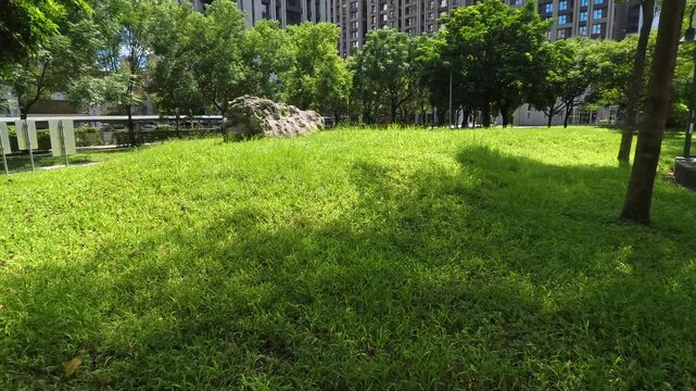 Lush green grass lawn in a sunny urban park with high-rise buildings, 4K b-roll