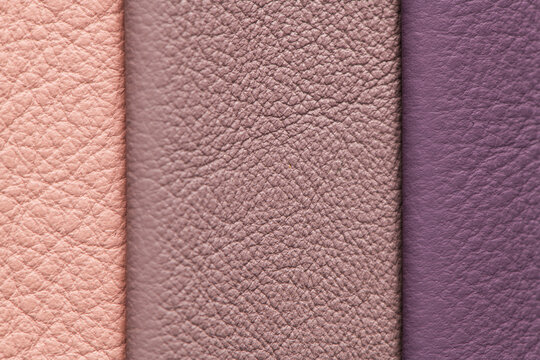 Tri-Tone Pink, Mauve, and Purple Grained Leather Background