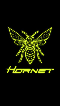 Stylized neon green hornet insect graphic with 'HORNET' text on a black background, featuring a modern design.