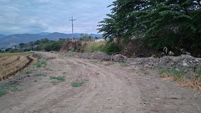 Camino para ingresar a los cultivos de terrenos de arroz