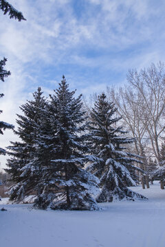 Winter at Gold Bar Park