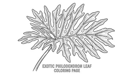 Detailed outline illustration of a large, exotic philodendron leaf with intricate veins and fenestrations, isolated on a white background © titin